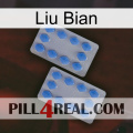 Liu Bian 20